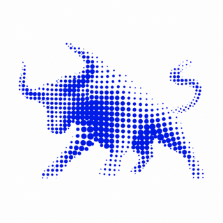 BullFolio app icon
